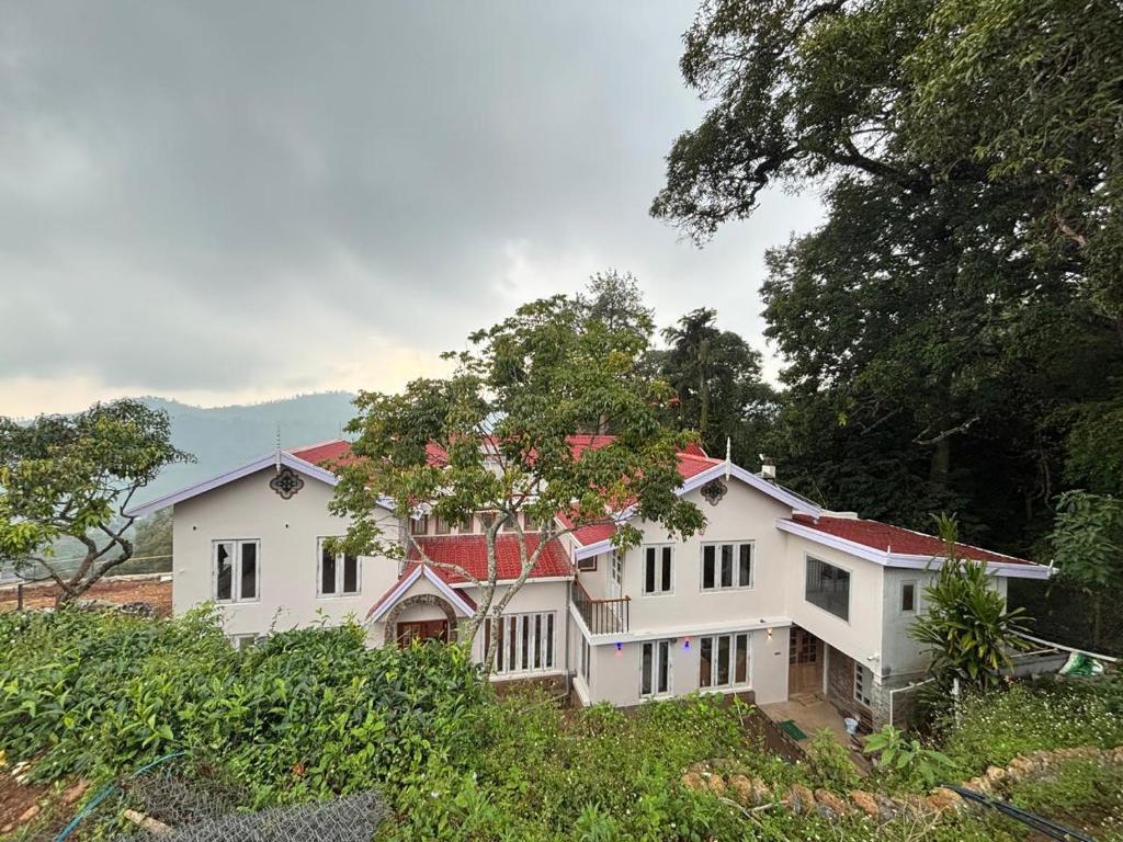 Outdoor view 1