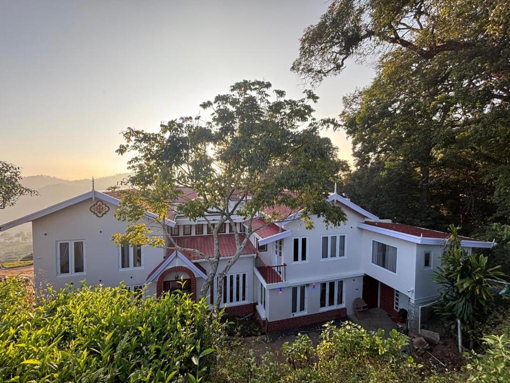 Outdoor view 3